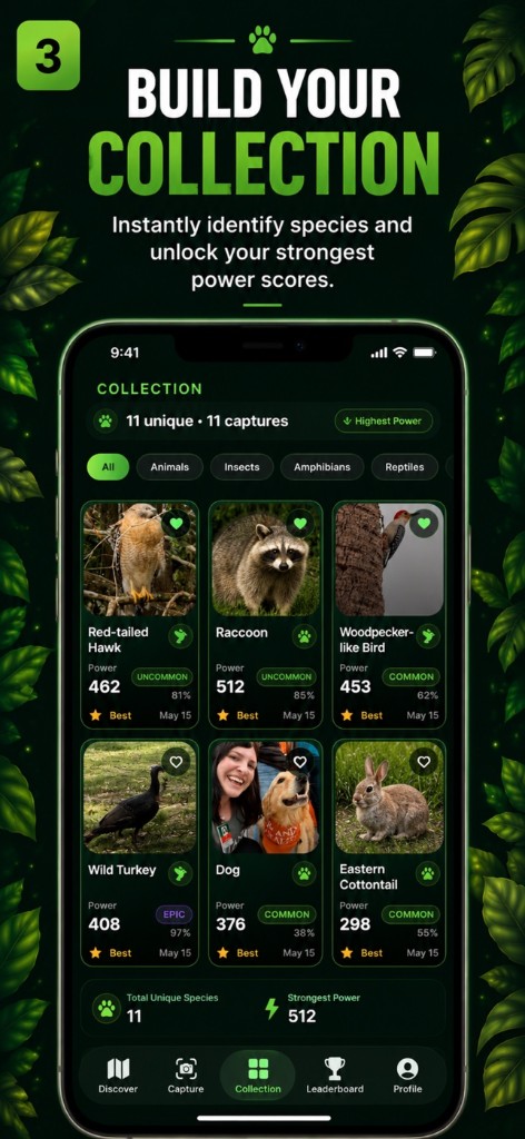 Crittr AI collection grid showing captured animals with power scores and rarity labels